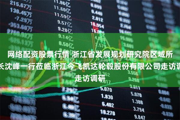 网络配资股票行情 浙江省发展规划研究院区域所所长沈峰一行莅临浙江今飞凯达轮毂股份有限公司走访调研